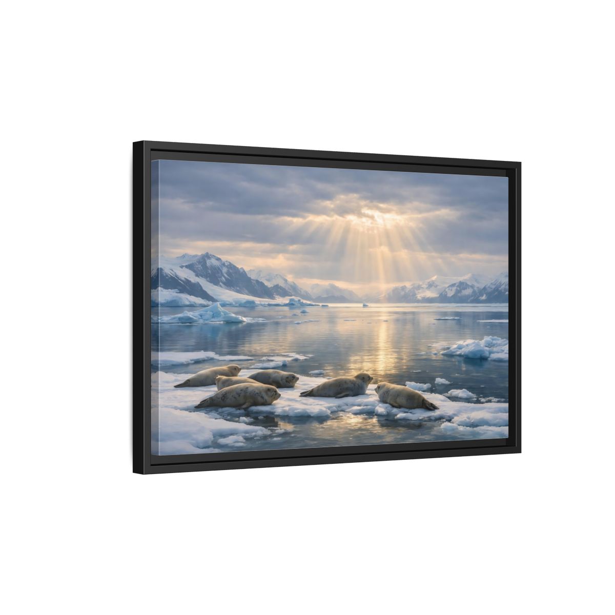 Side Mockup 3. Animals Seals Sunlit Arctic Seals shown as stretched canvas wall art