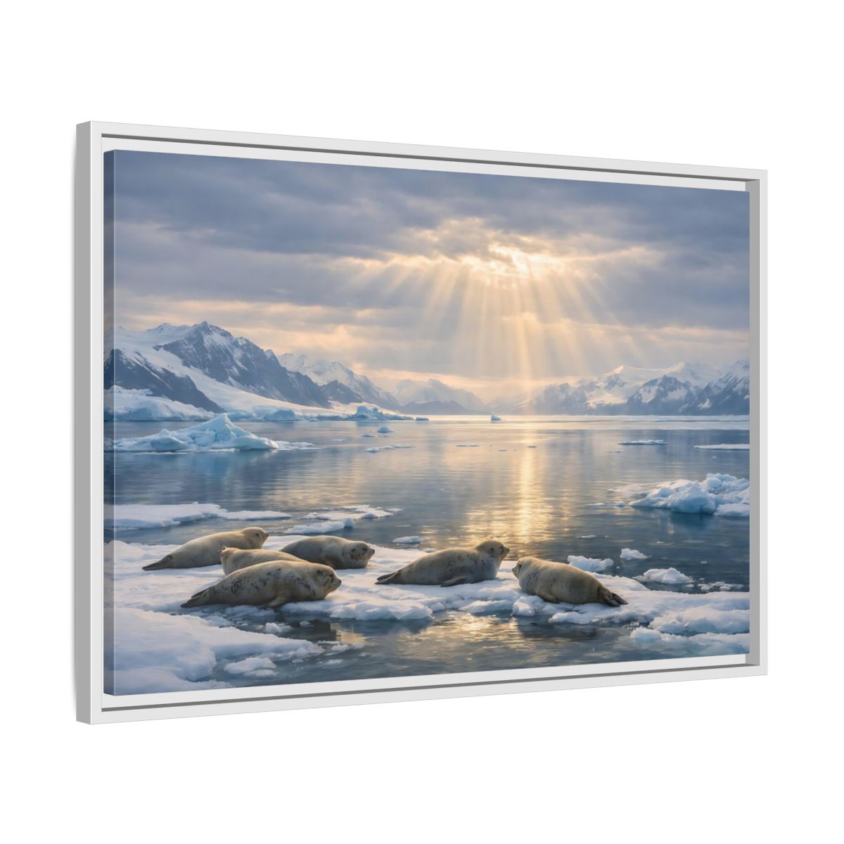 Side Mockup 10. Animals Seals Sunlit Arctic Seals shown as stretched canvas wall art