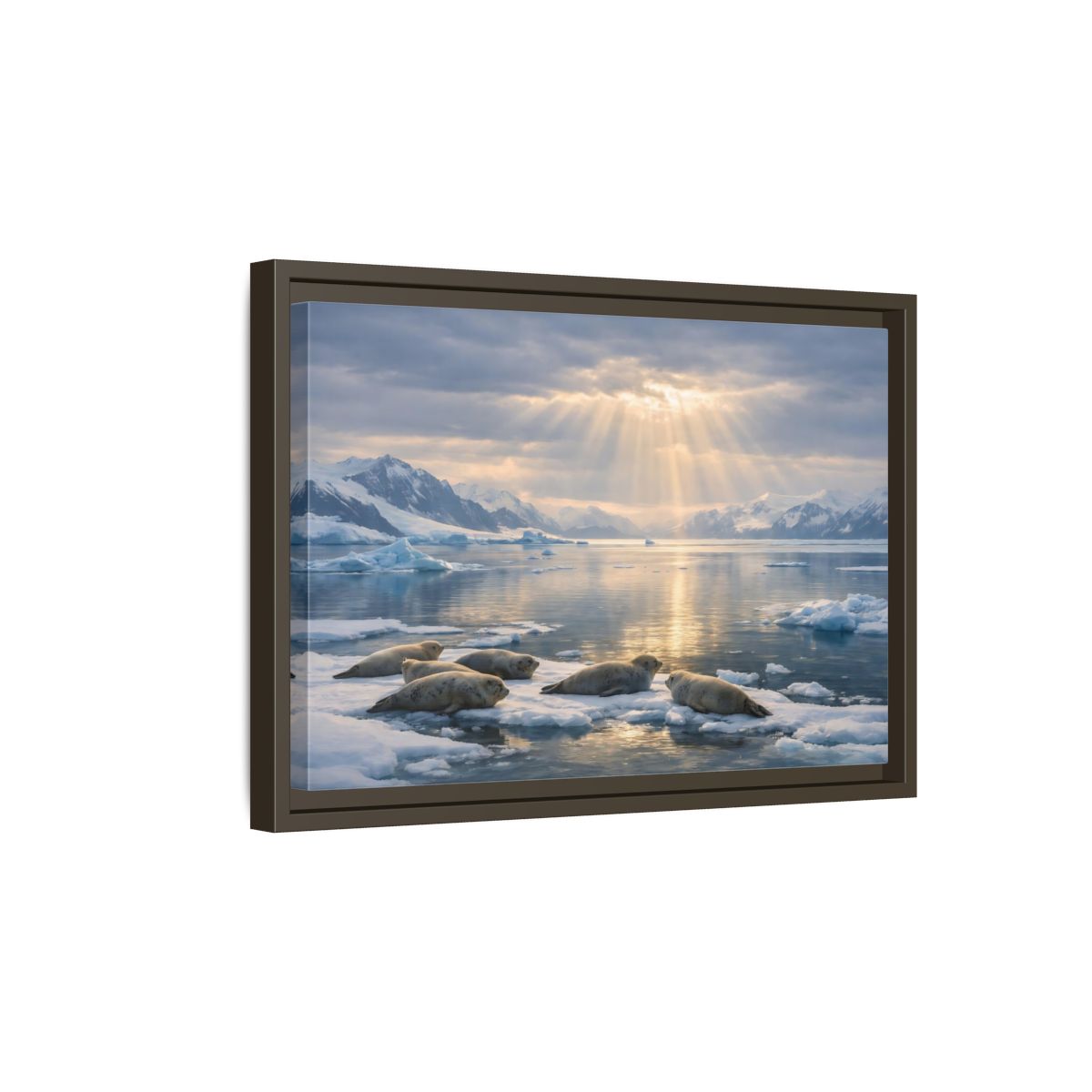 Side Mockup 5. Animals Seals Sunlit Arctic Seals shown as stretched canvas wall art