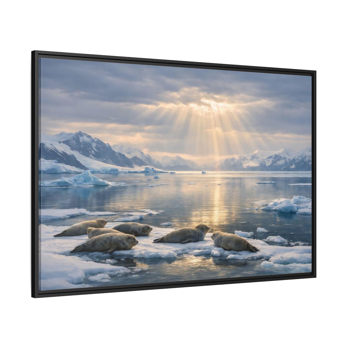 Side Mockup 12. Animals Seals Sunlit Arctic Seals shown as stretched canvas wall art