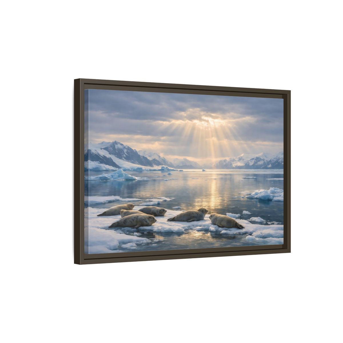 Side Mockup 2. Animals Seals Sunlit Arctic Seals shown as stretched canvas wall art