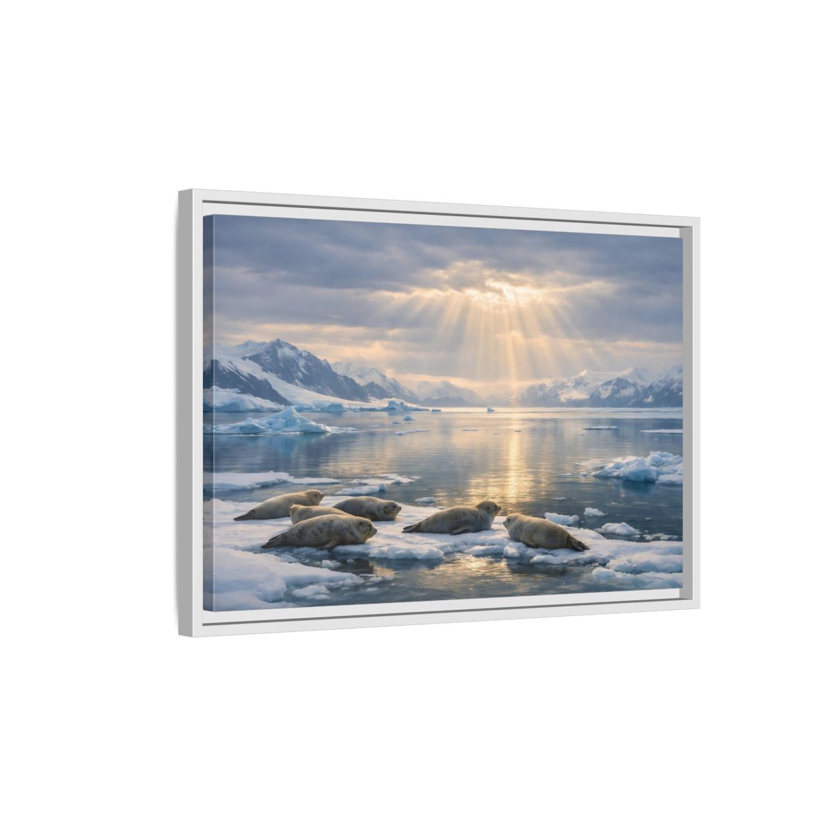 Side Mockup 1. Animals Seals Sunlit Arctic Seals shown as stretched canvas wall art