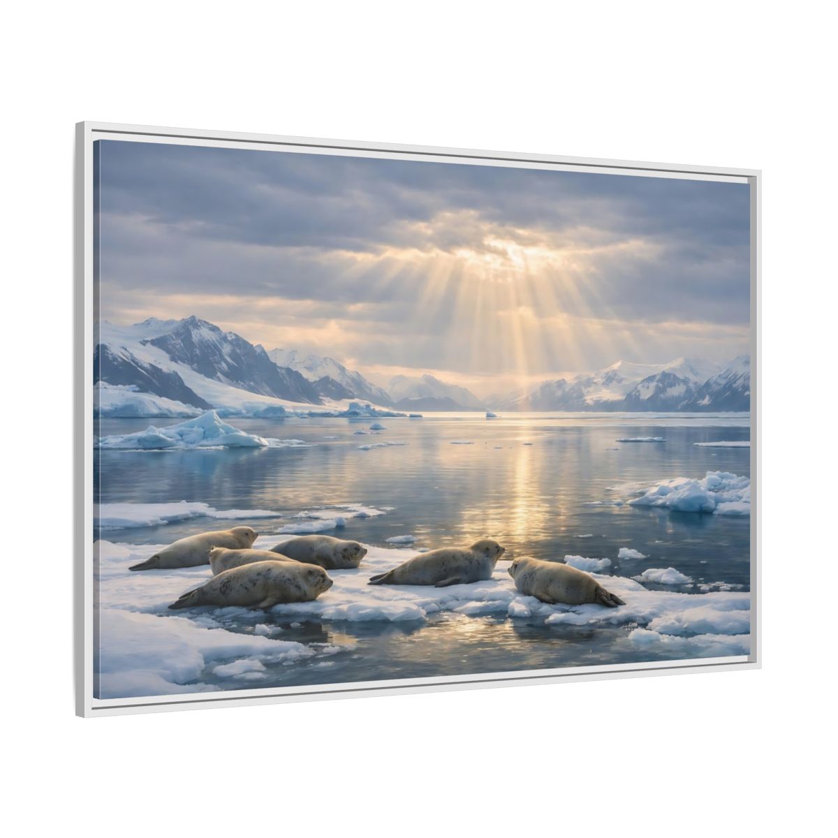 Side Mockup 7. Animals Seals Sunlit Arctic Seals shown as stretched canvas wall art