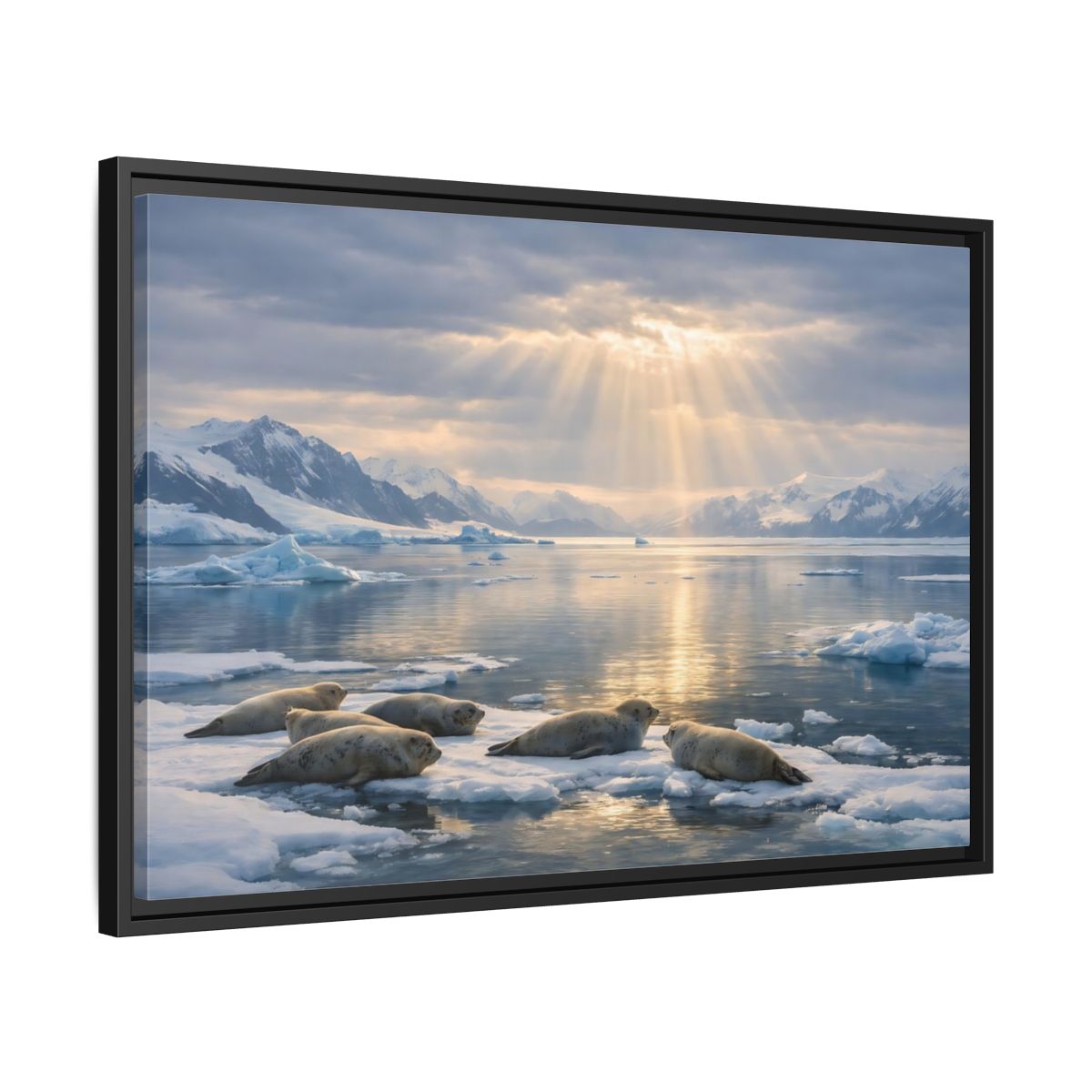 Side Mockup 14. Animals Seals Sunlit Arctic Seals shown as stretched canvas wall art