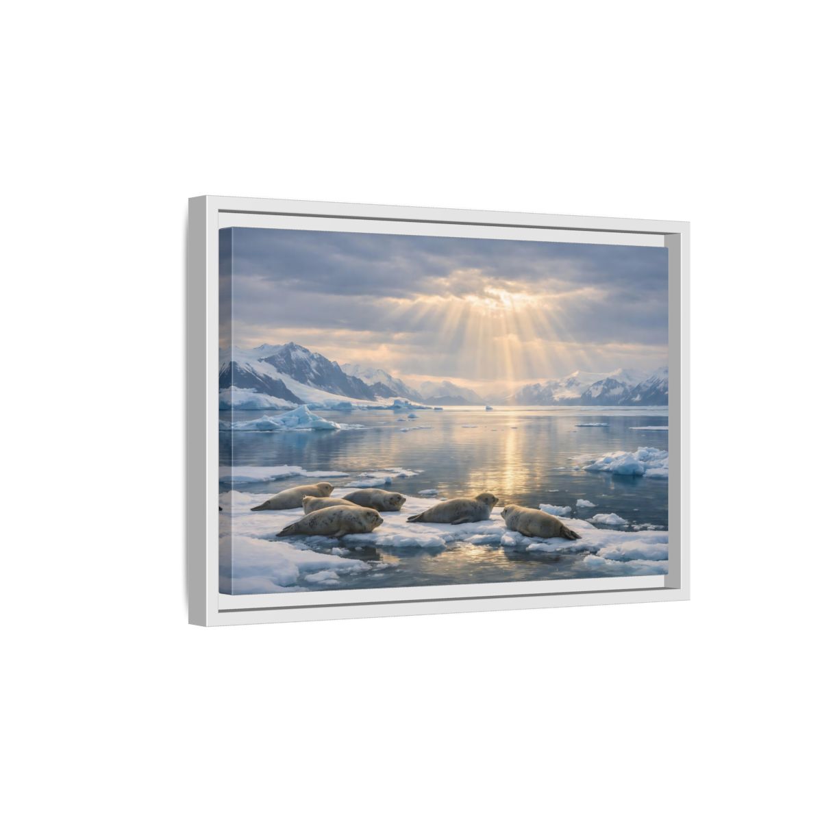 Side Mockup 4. Animals Seals Sunlit Arctic Seals shown as stretched canvas wall art