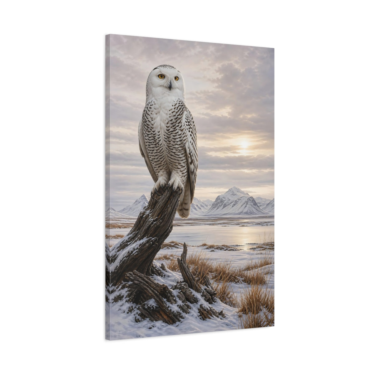 Main Mockup. Animals Snowy Owl Snowy Owl Winter shown as stretched canvas wall art