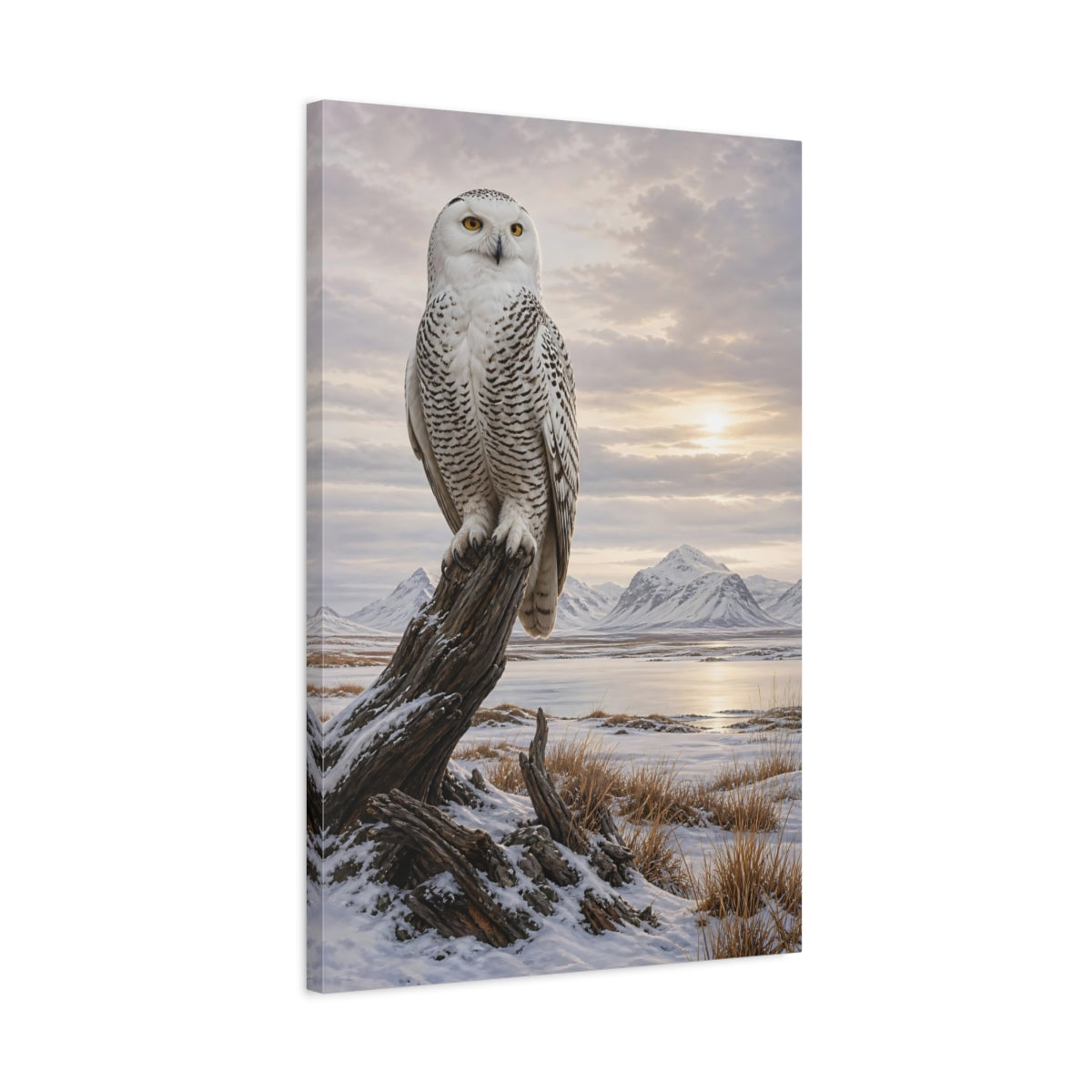 Side Mockup 2. Animals Snowy Owl Snowy Owl Winter shown as stretched canvas wall art