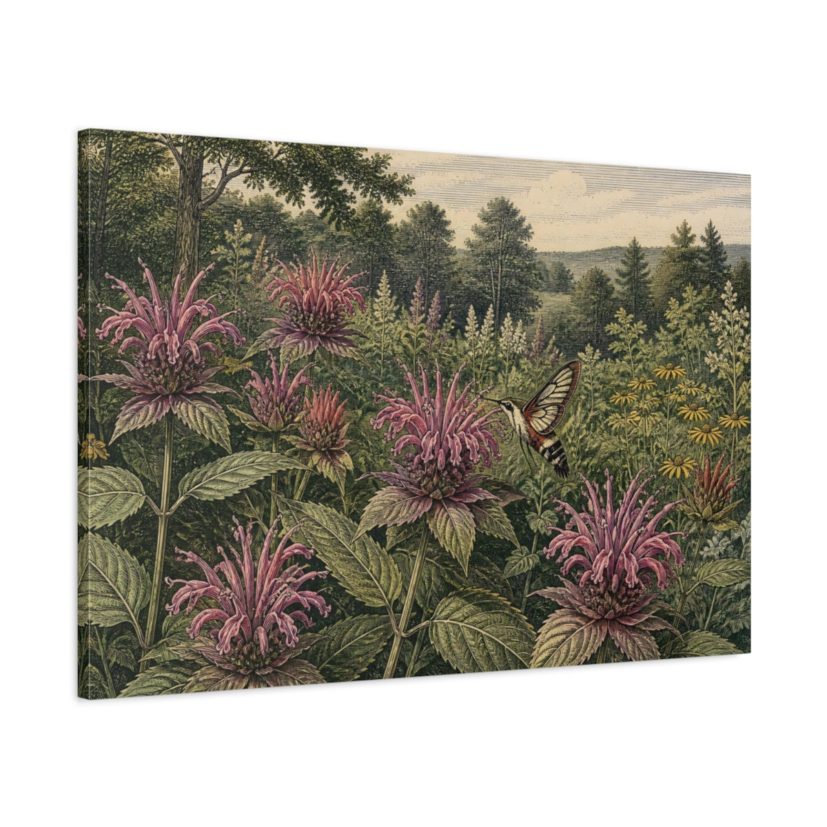 Main Mockup. Bee Balm And Hummingbird Moth shown as canvas print