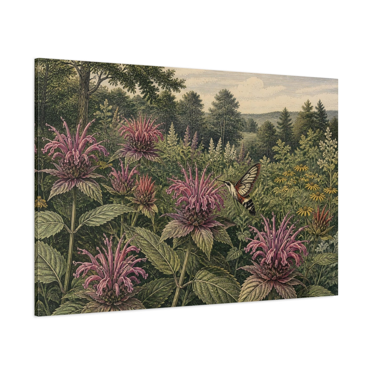 Side Mockup 1. Bee Balm And Hummingbird Moth shown as canvas print