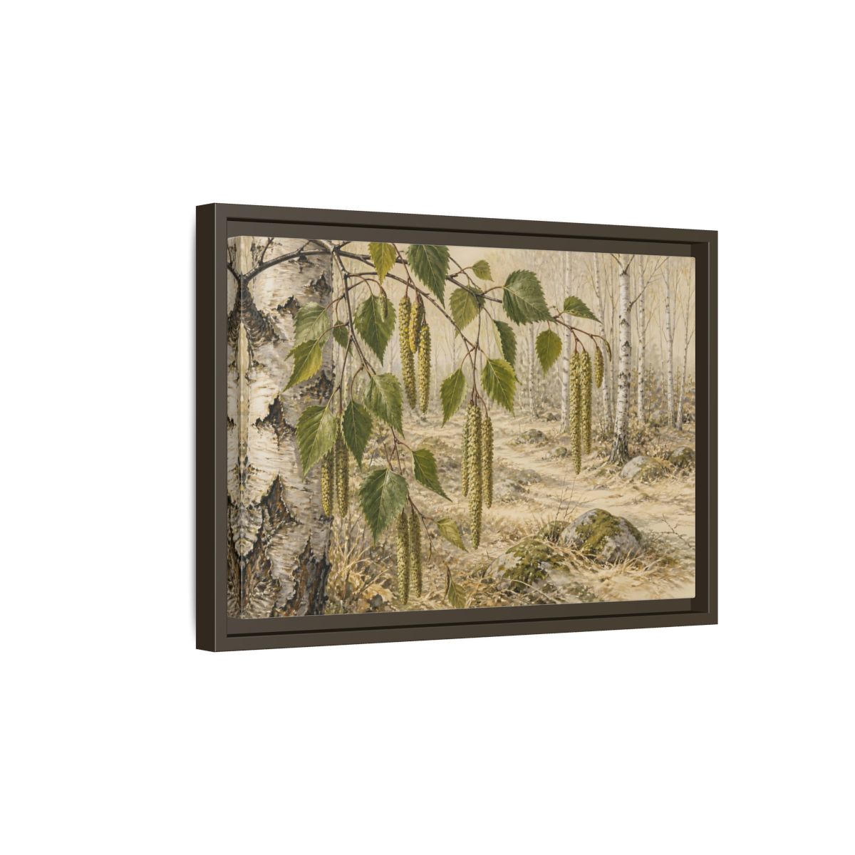 Side Mockup 5. Birch Catkins In Pale Woodland shown as framed canvas print