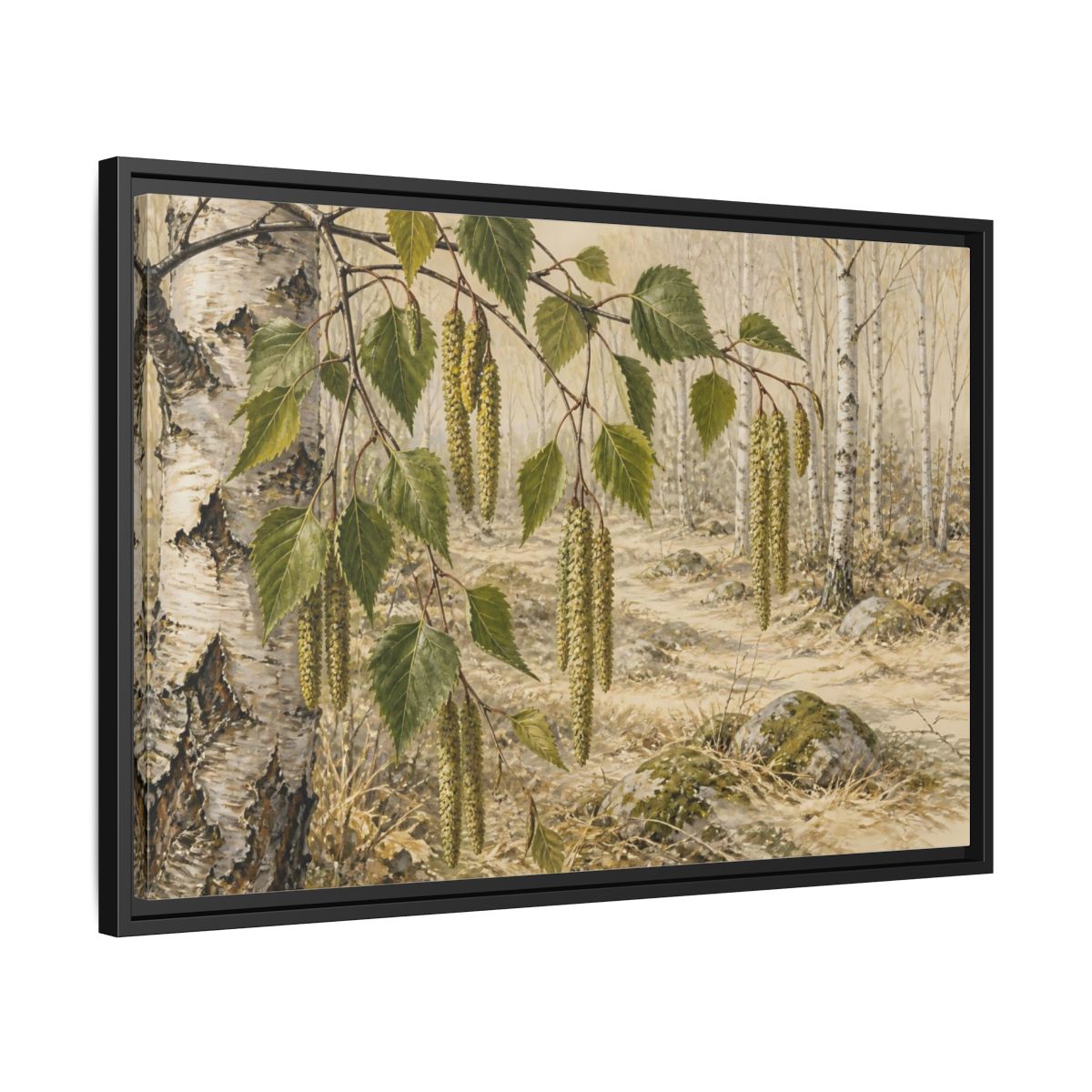 Side Mockup 14. Birch Catkins In Pale Woodland shown as framed canvas print
