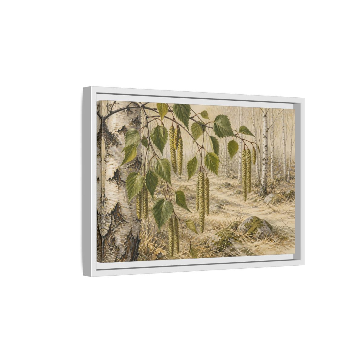 Side Mockup 4. Birch Catkins In Pale Woodland shown as framed canvas print