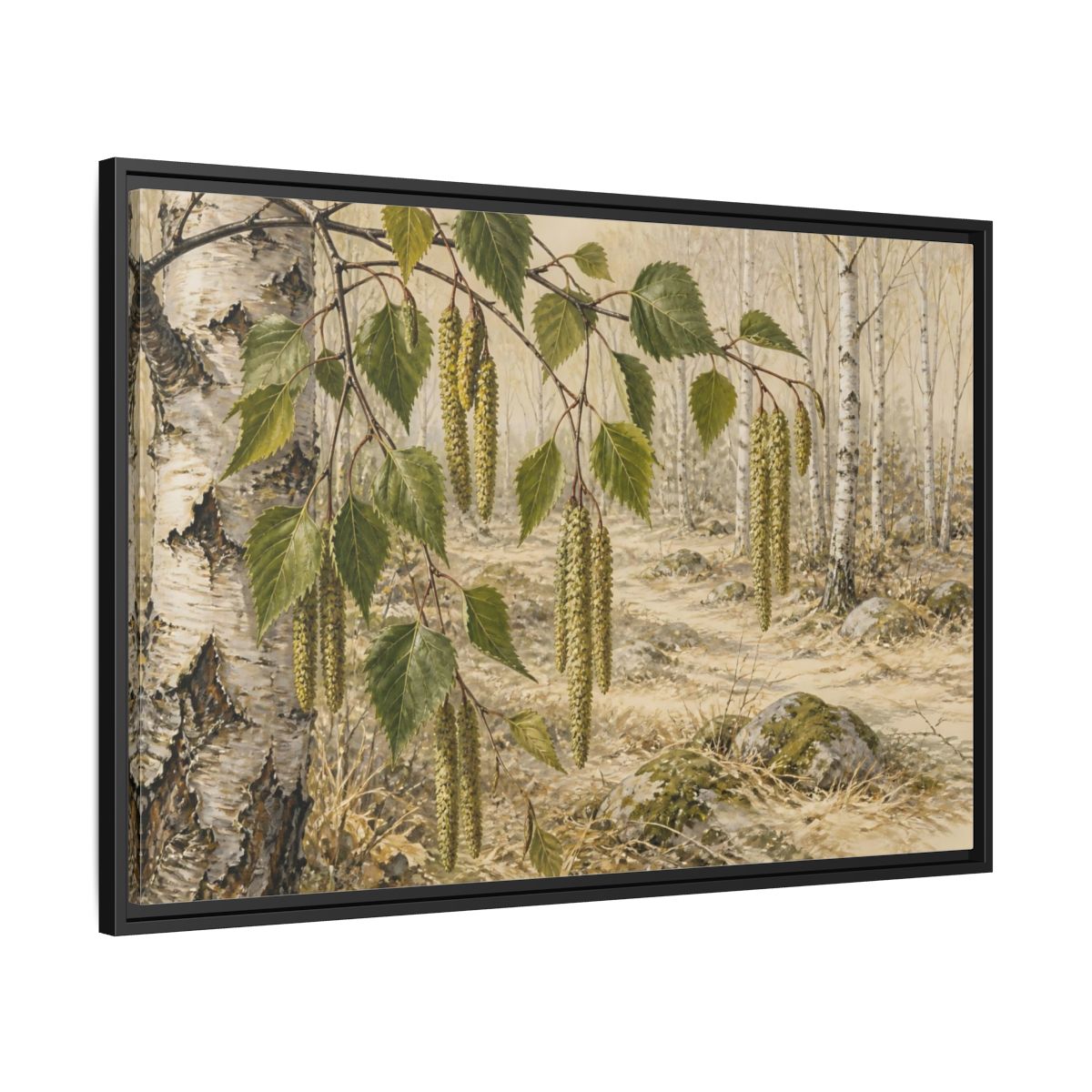 Side Mockup 13. Birch Catkins In Pale Woodland shown as framed canvas print