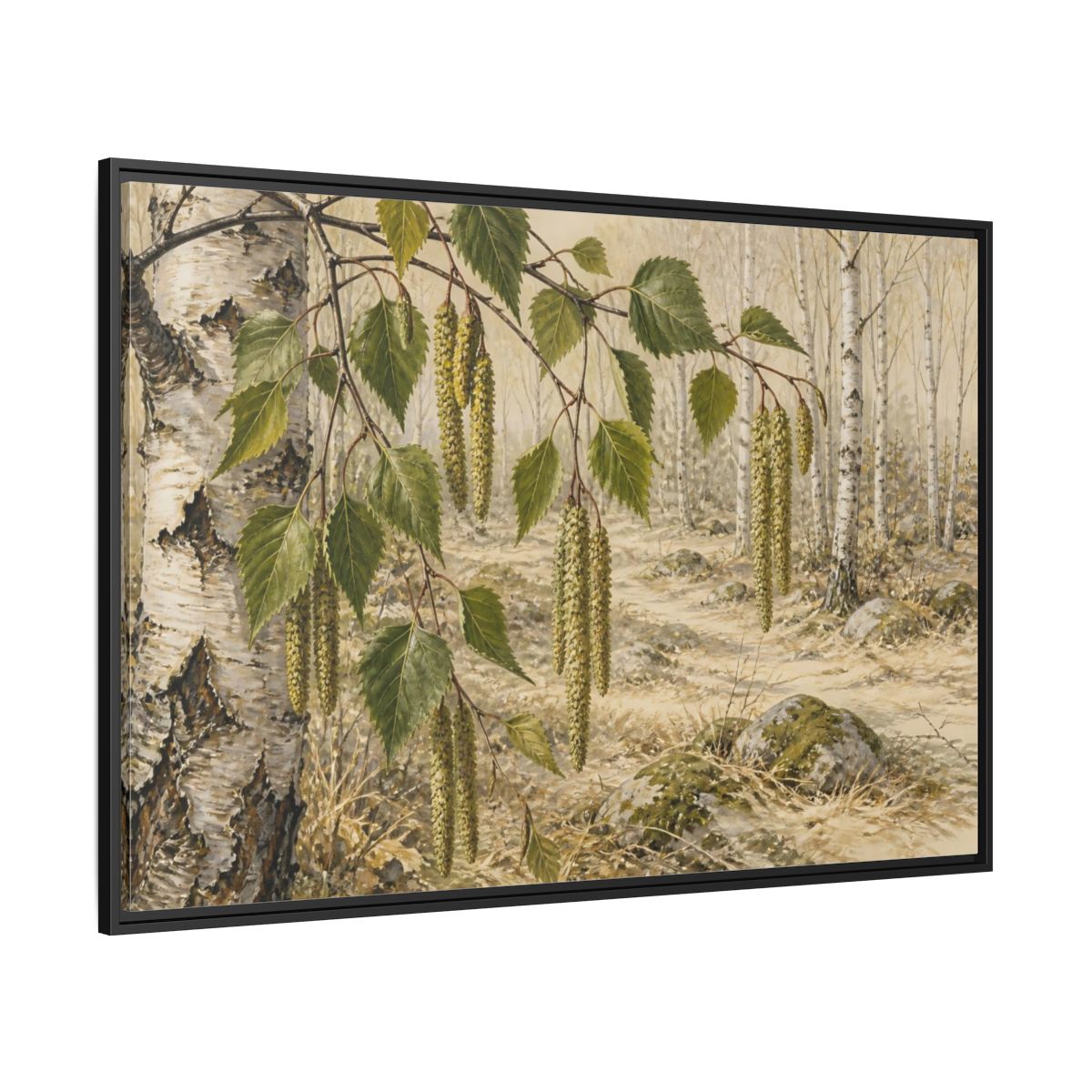 Side Mockup 12. Birch Catkins In Pale Woodland shown as framed canvas print