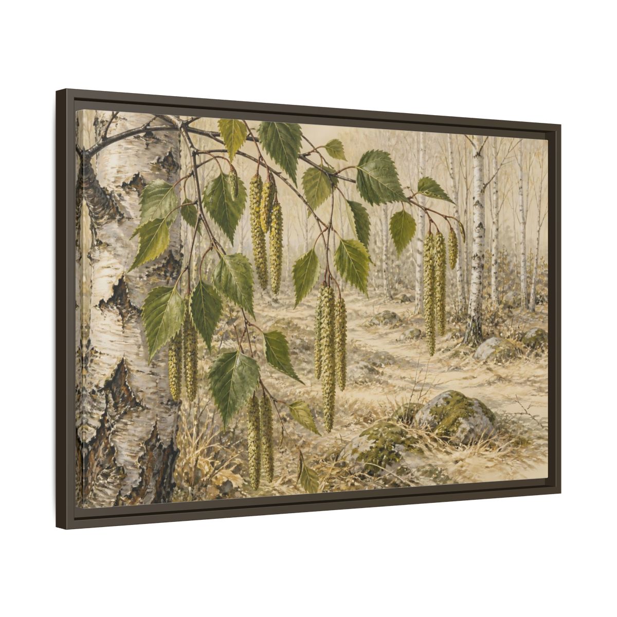 Side Mockup 11. Birch Catkins In Pale Woodland shown as framed canvas print
