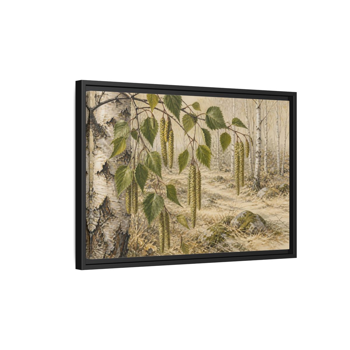 Side Mockup 3. Birch Catkins In Pale Woodland shown as framed canvas print