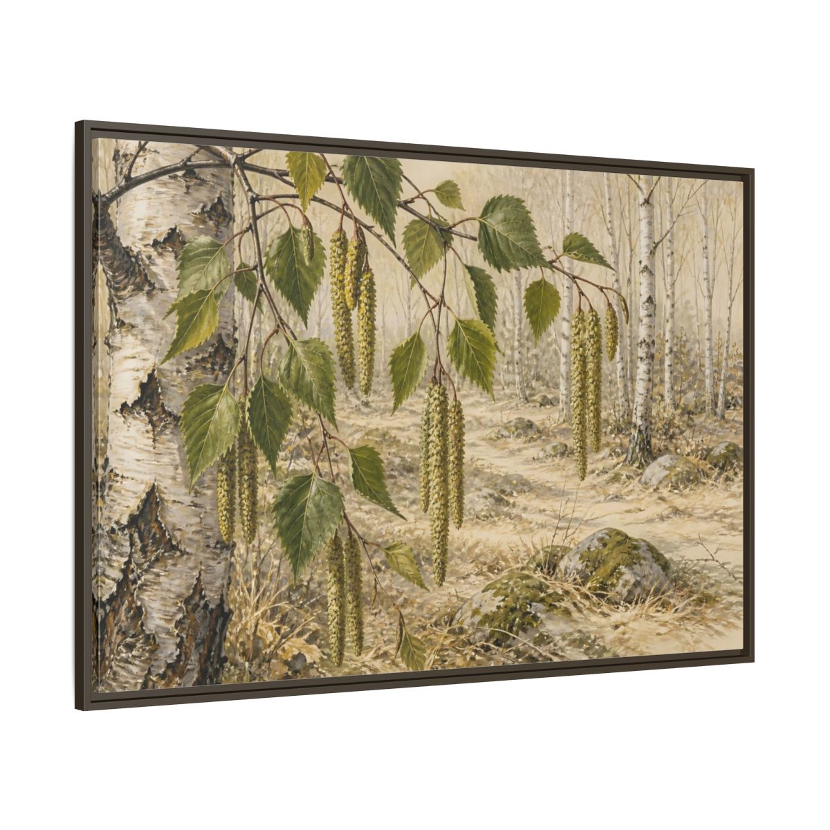 Side Mockup 8. Birch Catkins In Pale Woodland shown as framed canvas print