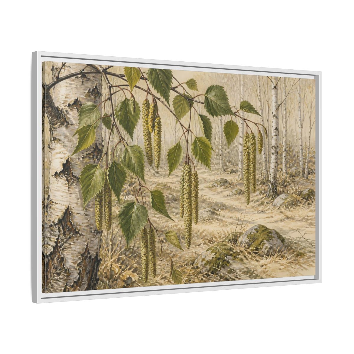 Side Mockup 9. Birch Catkins In Pale Woodland shown as framed canvas print