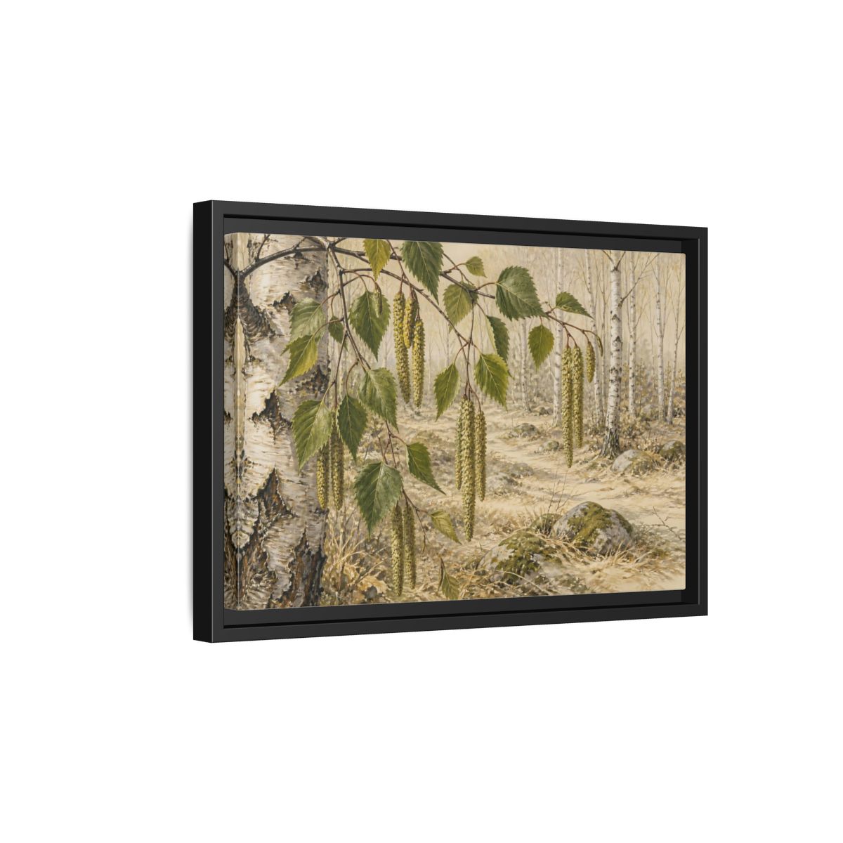 Side Mockup 6. Birch Catkins In Pale Woodland shown as framed canvas print