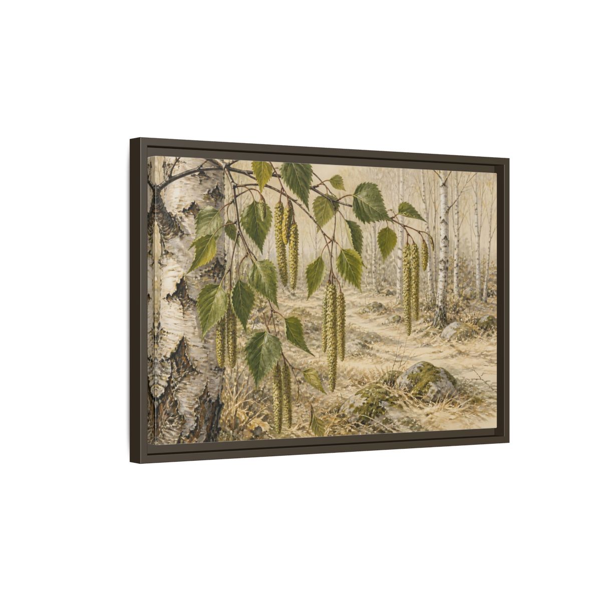Side Mockup 2. Birch Catkins In Pale Woodland shown as framed canvas print