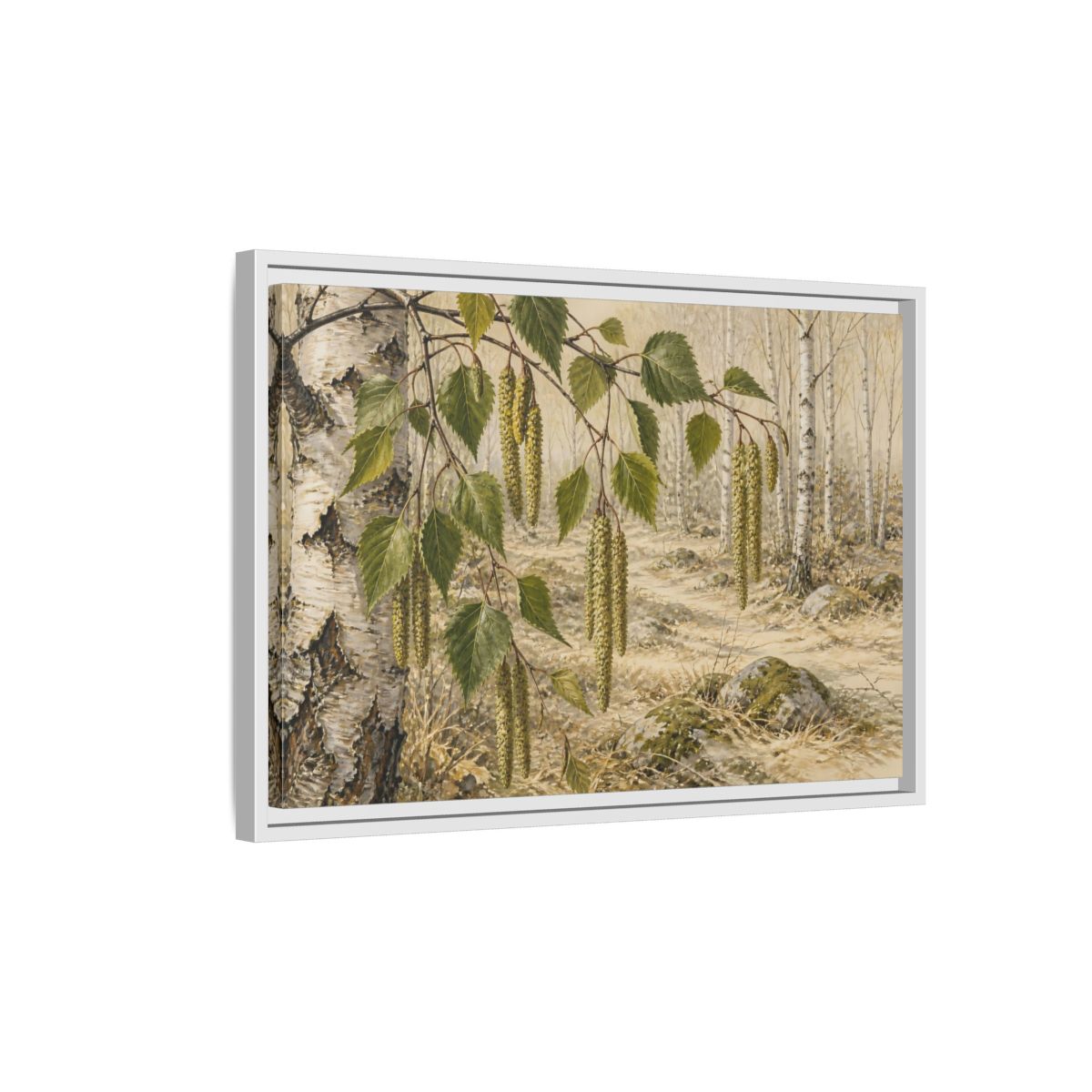 Side Mockup 1. Birch Catkins In Pale Woodland shown as framed canvas print