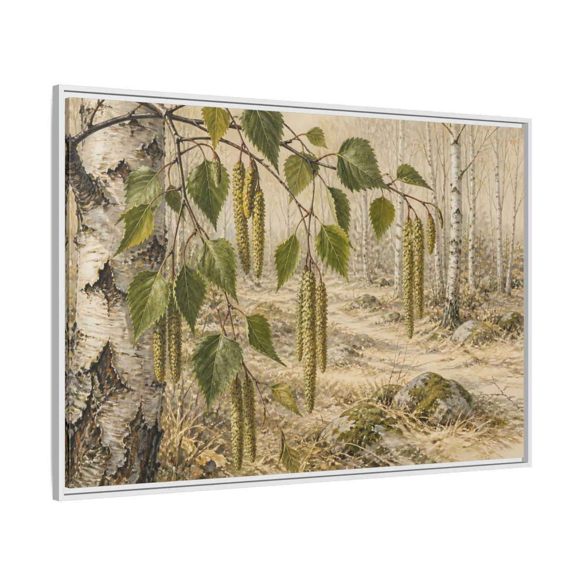 Side Mockup 7. Birch Catkins In Pale Woodland shown as framed canvas print