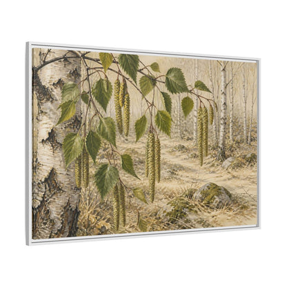 Side Mockup 7. Birch Catkins In Pale Woodland shown as framed canvas print