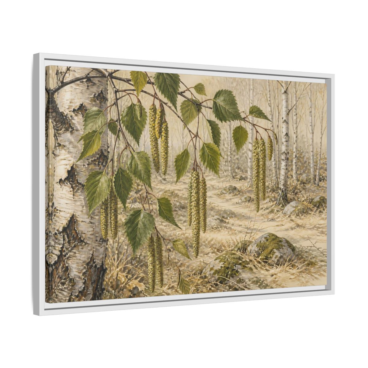 Side Mockup 10. Birch Catkins In Pale Woodland shown as framed canvas print