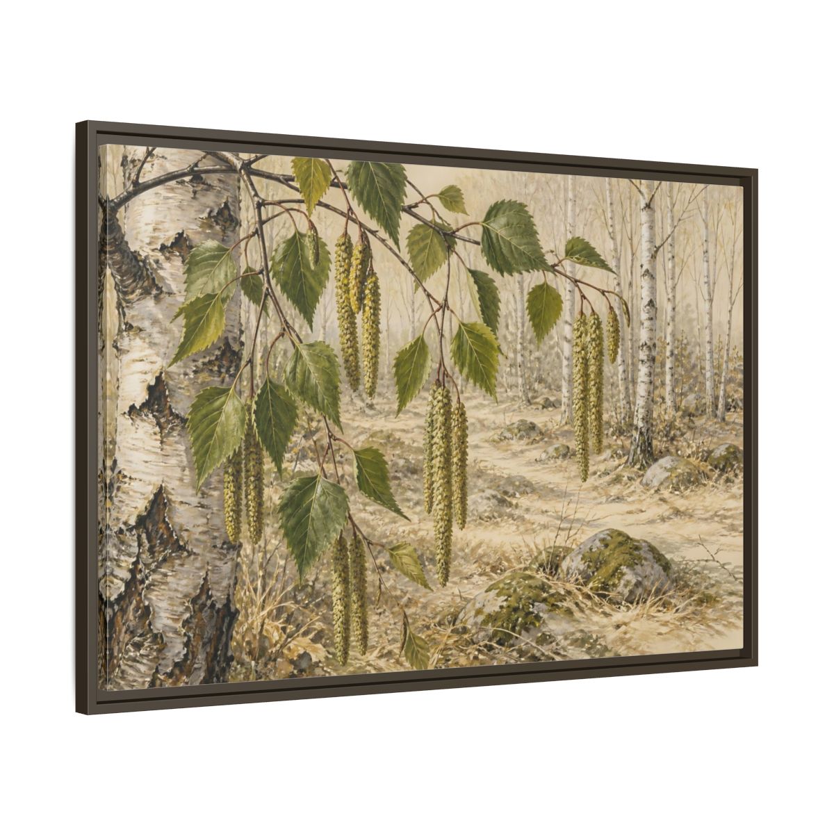 Main Mockup. Birch Catkins In Pale Woodland shown as framed canvas print