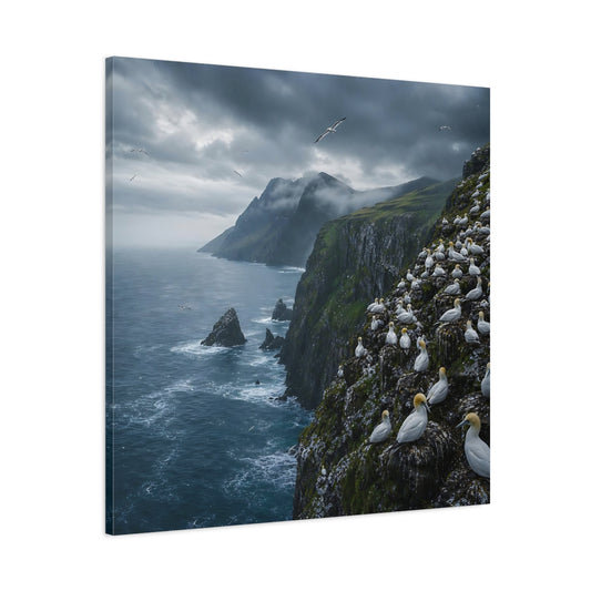 Main Mockup. Birds Gannet Colony Stormy Seascape shown as stretched canvas wall art