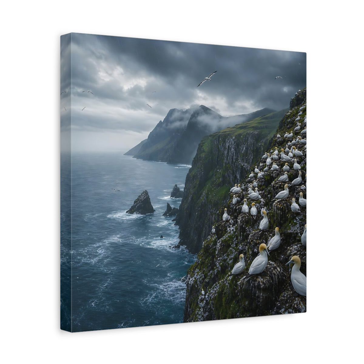 Side Mockup 7. Birds Gannet Colony Stormy Seascape shown as stretched canvas wall art