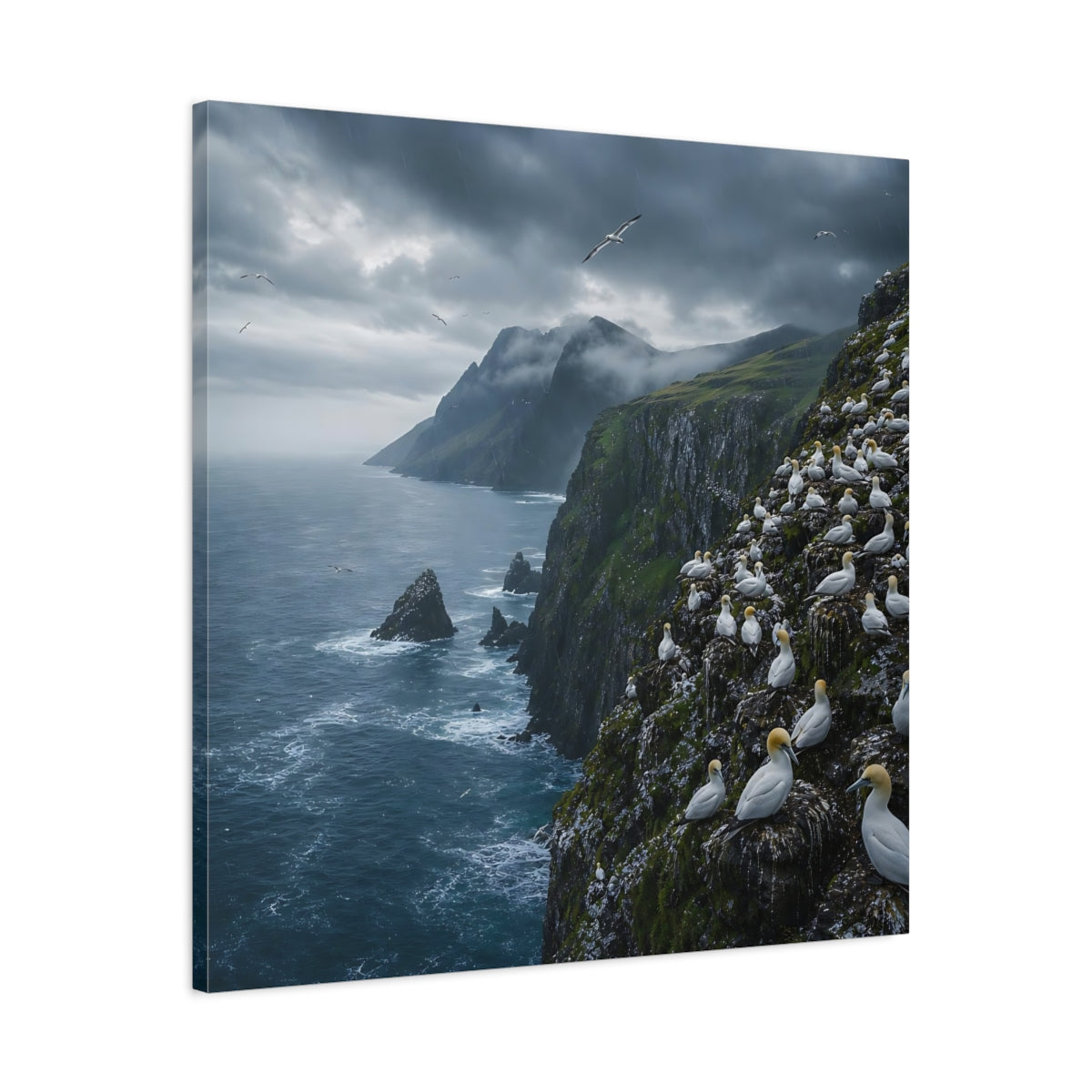 Side Mockup 3. Birds Gannet Colony Stormy Seascape shown as stretched canvas wall art