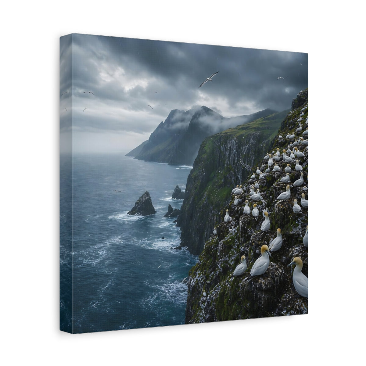 Side Mockup 8. Birds Gannet Colony Stormy Seascape shown as stretched canvas wall art