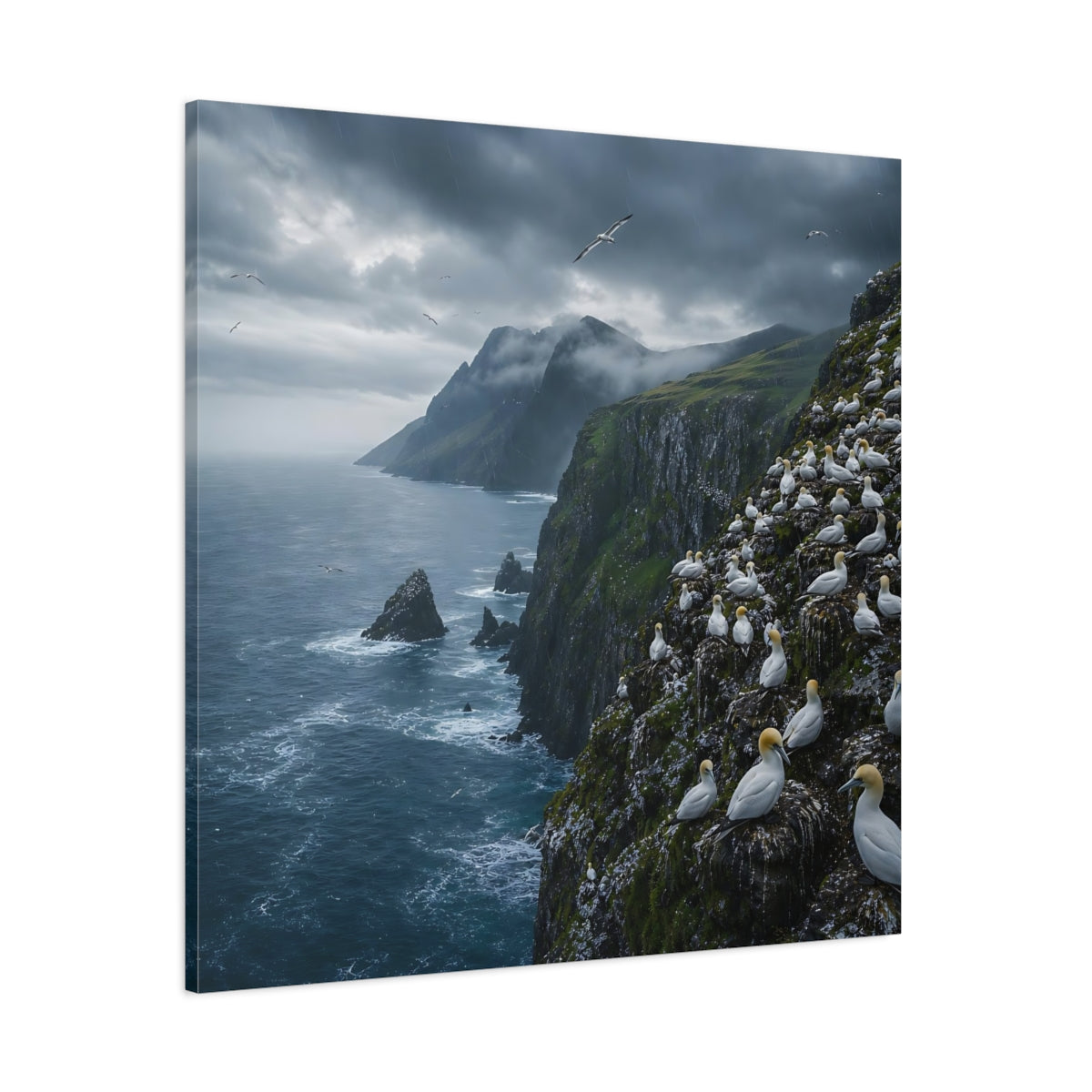 Side Mockup 1. Birds Gannet Colony Stormy Seascape shown as stretched canvas wall art