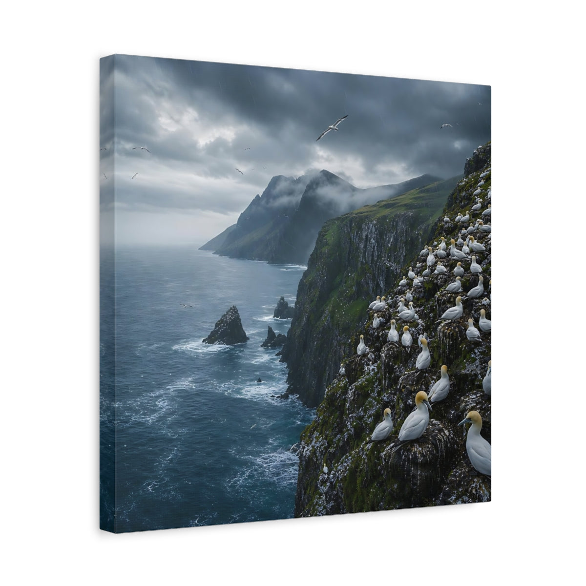 Side Mockup 6. Birds Gannet Colony Stormy Seascape shown as stretched canvas wall art