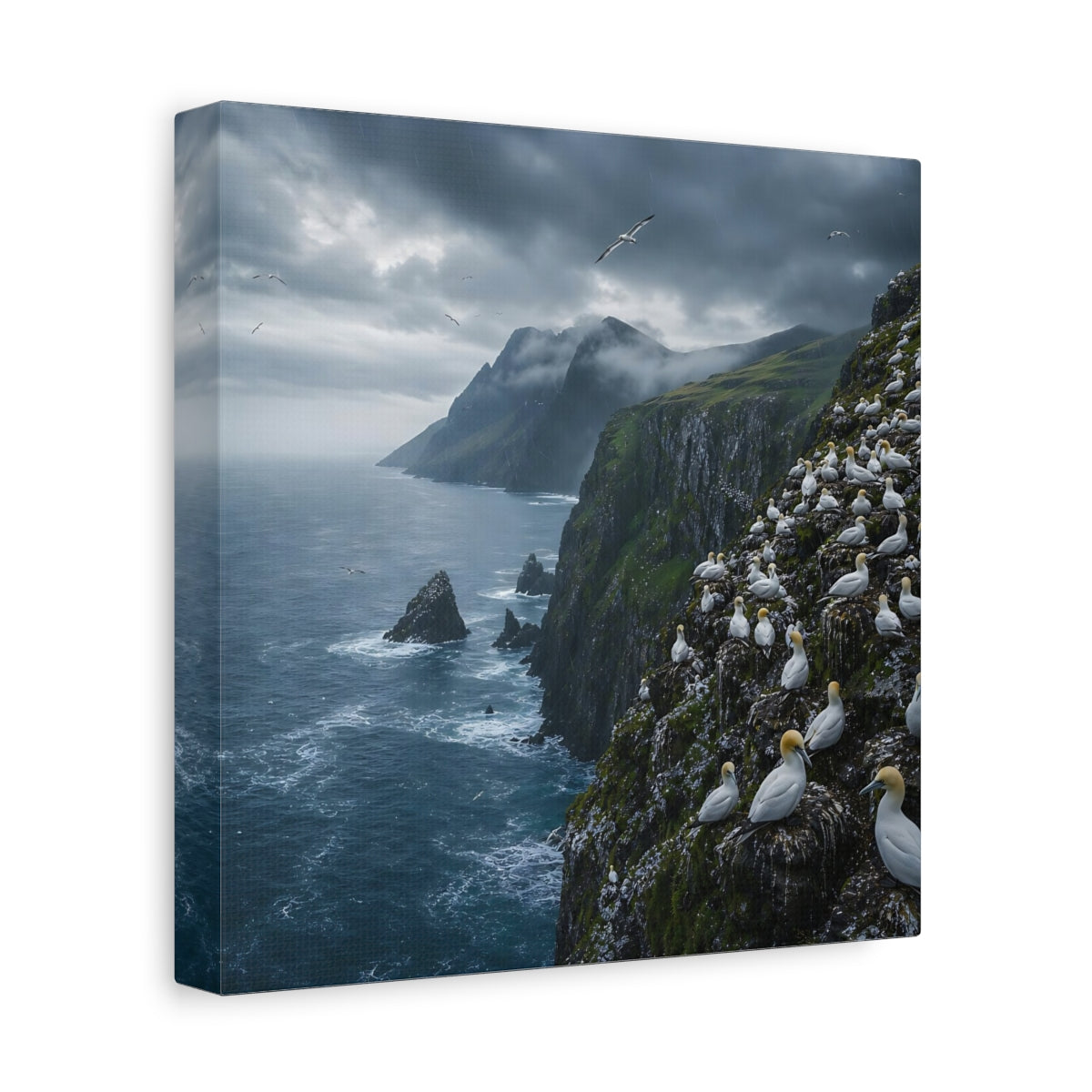 Side Mockup 9. Birds Gannet Colony Stormy Seascape shown as stretched canvas wall art