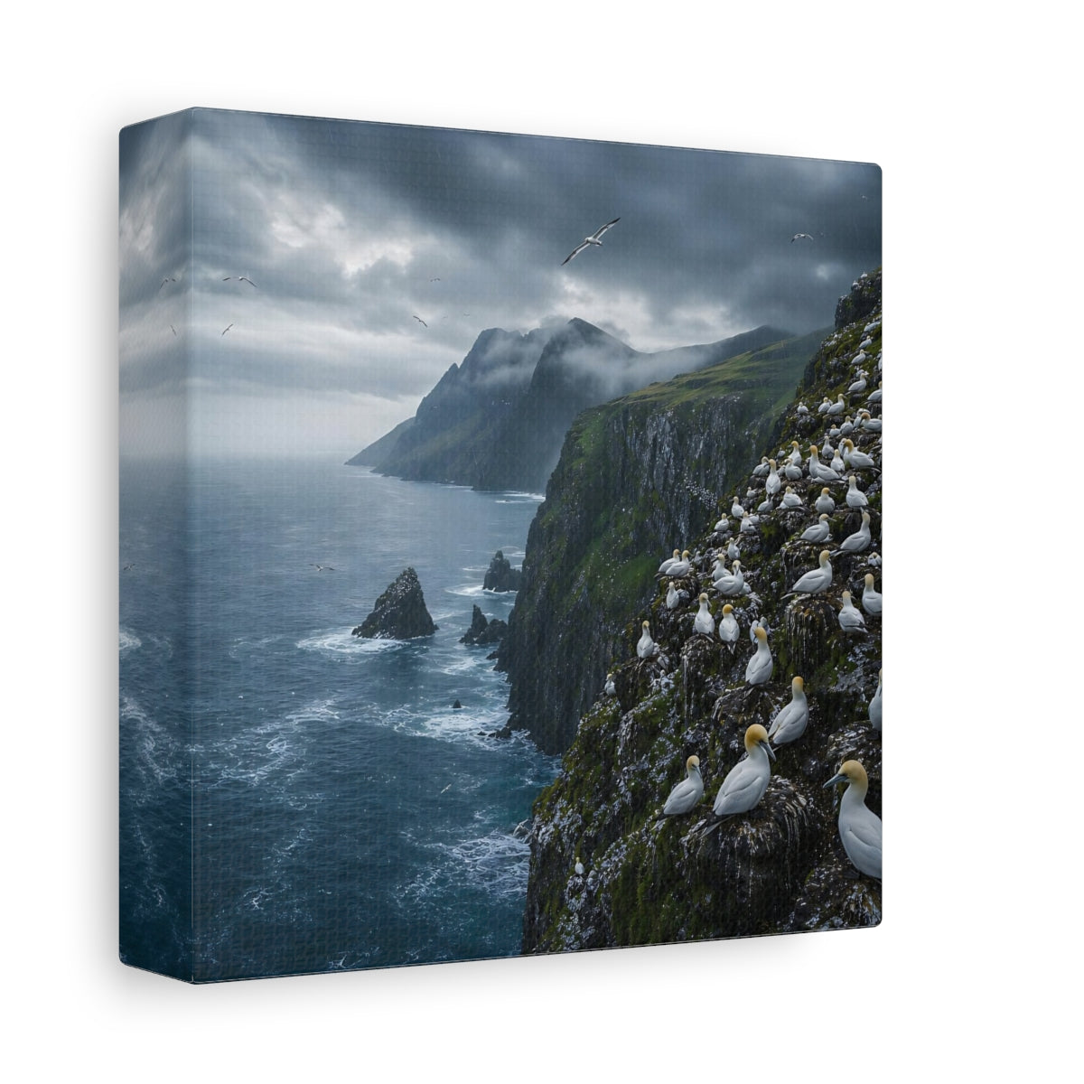 Side Mockup 2. Birds Gannet Colony Stormy Seascape shown as stretched canvas wall art