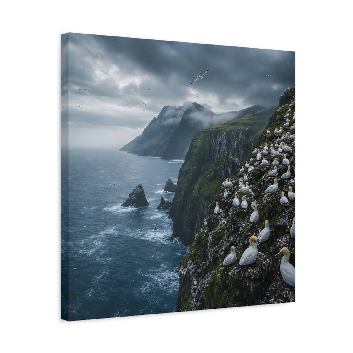 Side Mockup 5. Birds Gannet Colony Stormy Seascape shown as stretched canvas wall art