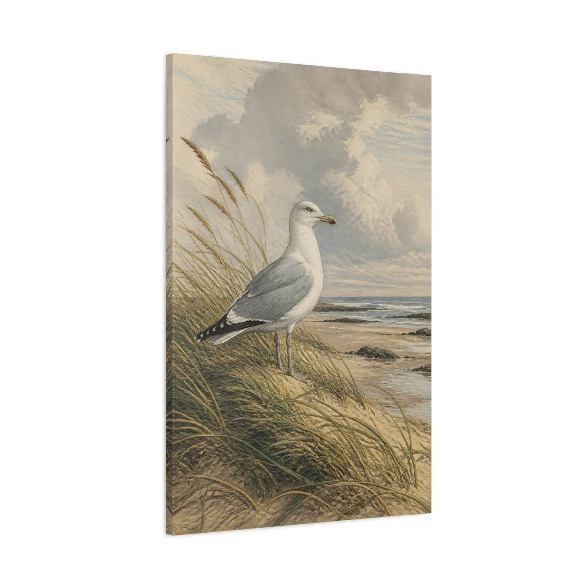 Main Mockup. Birds Seagull Coastal Bird shown as stretched canvas wall art