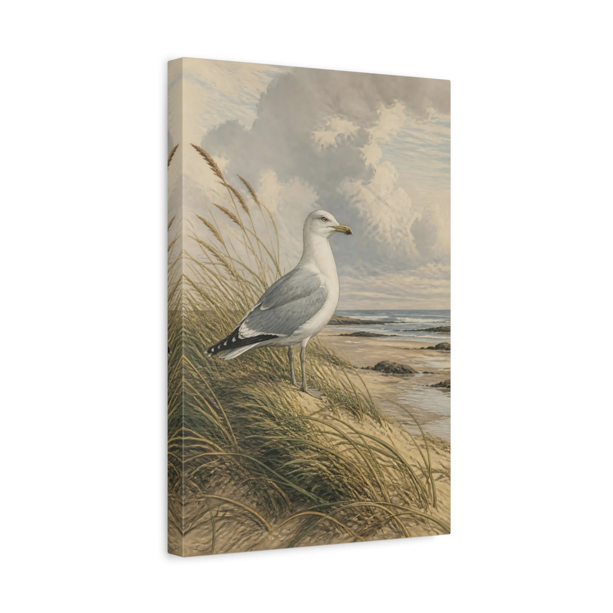 Side Mockup 4. Birds Seagull Coastal Bird shown as stretched canvas wall art