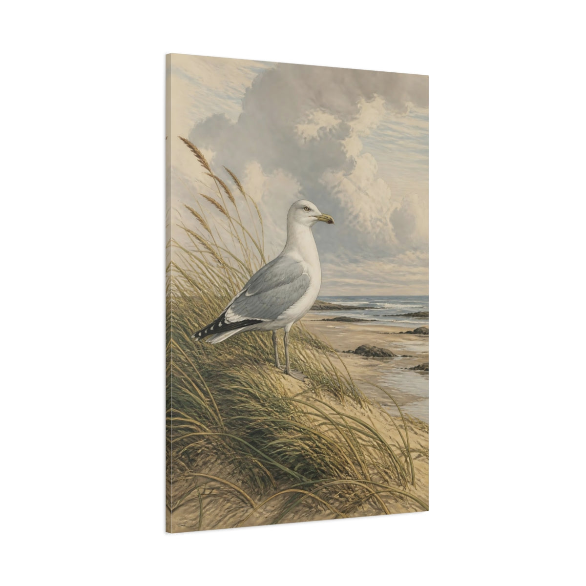 Side Mockup 1. Birds Seagull Coastal Bird shown as stretched canvas wall art