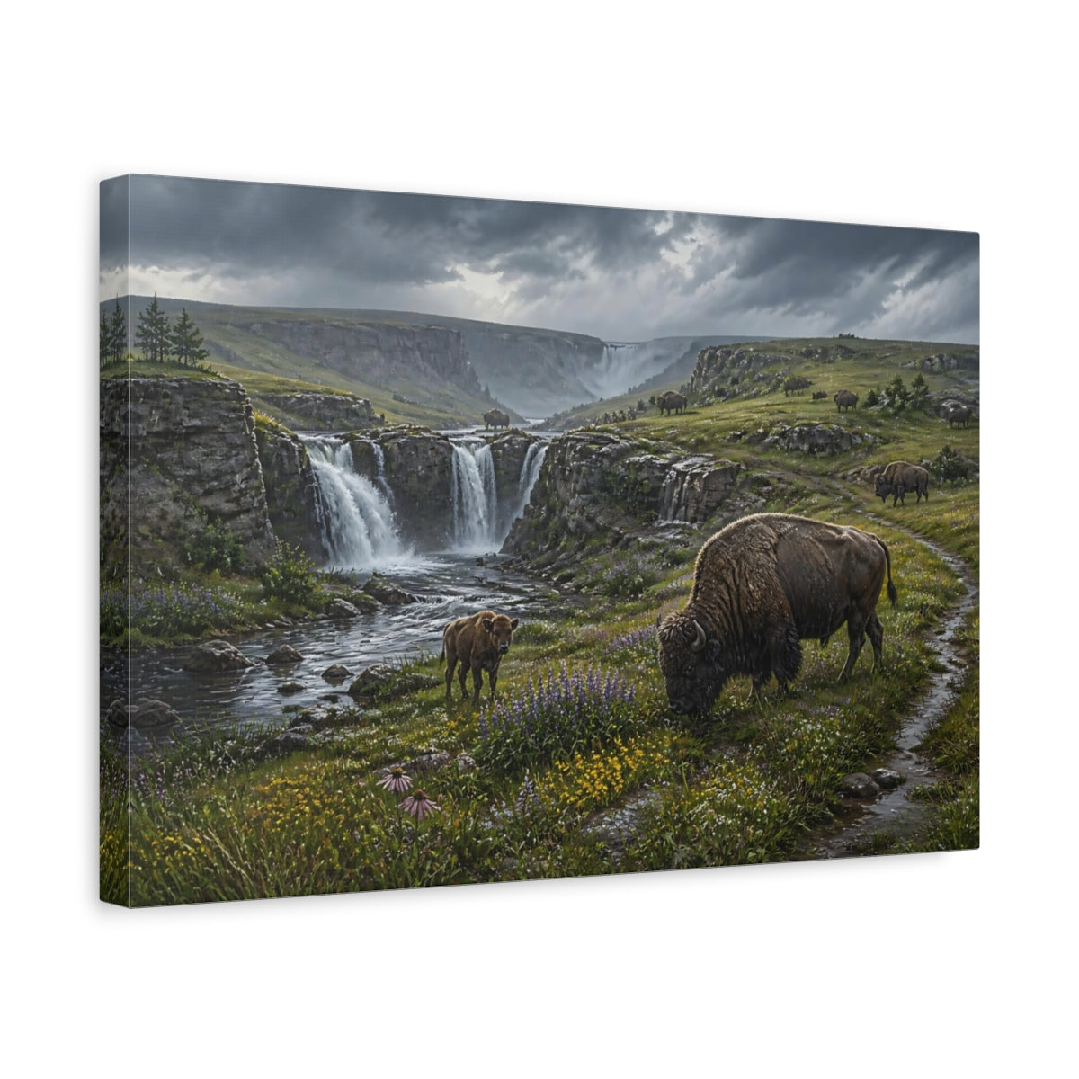 Side Mockup 4. Bison In Rainy Prairie shown as canvas print