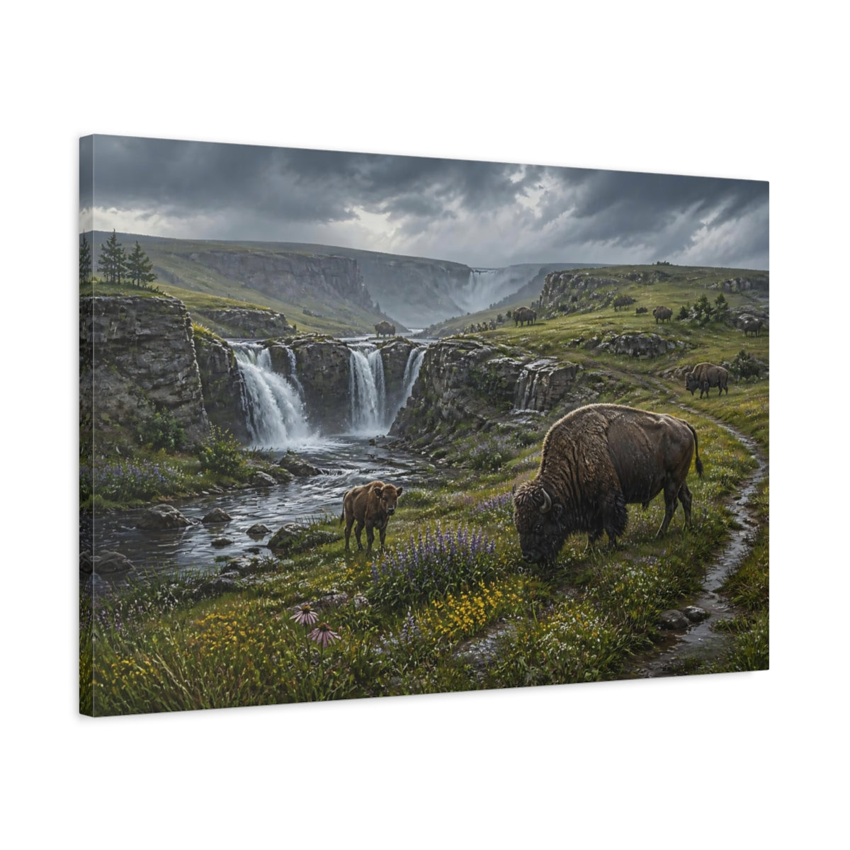 Side Mockup 2. Bison In Rainy Prairie shown as canvas print