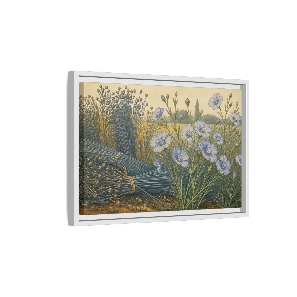 Side Mockup 4. Blooming Blue Flax shown as framed canvas print