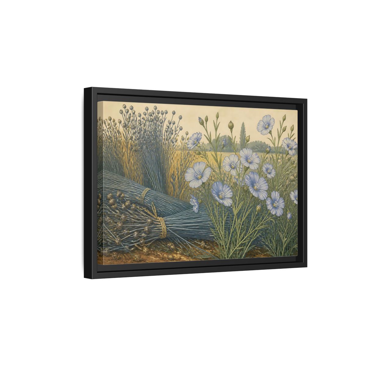Side Mockup 6. Blooming Blue Flax shown as framed canvas print