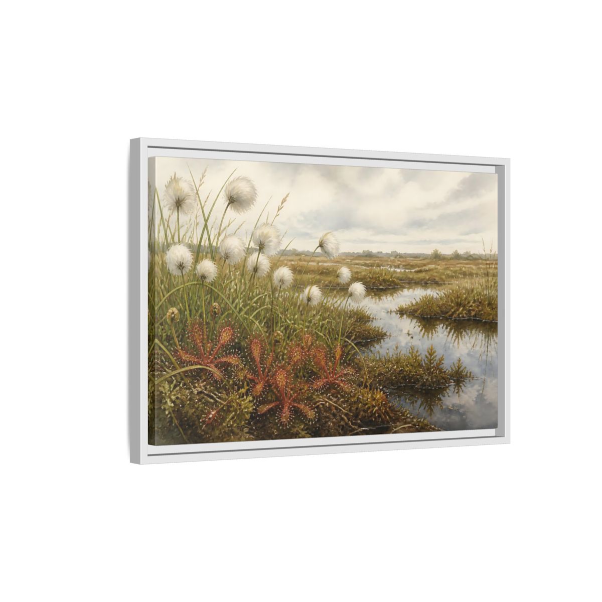 Side Mockup 1. Bog Cotton And Sundew shown as framed canvas print
