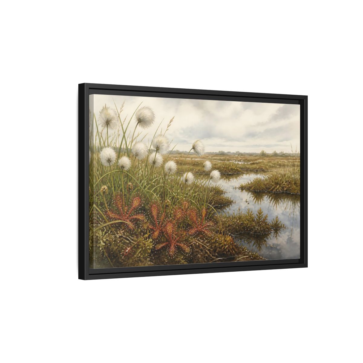 Side Mockup 3. Bog Cotton And Sundew shown as framed canvas print