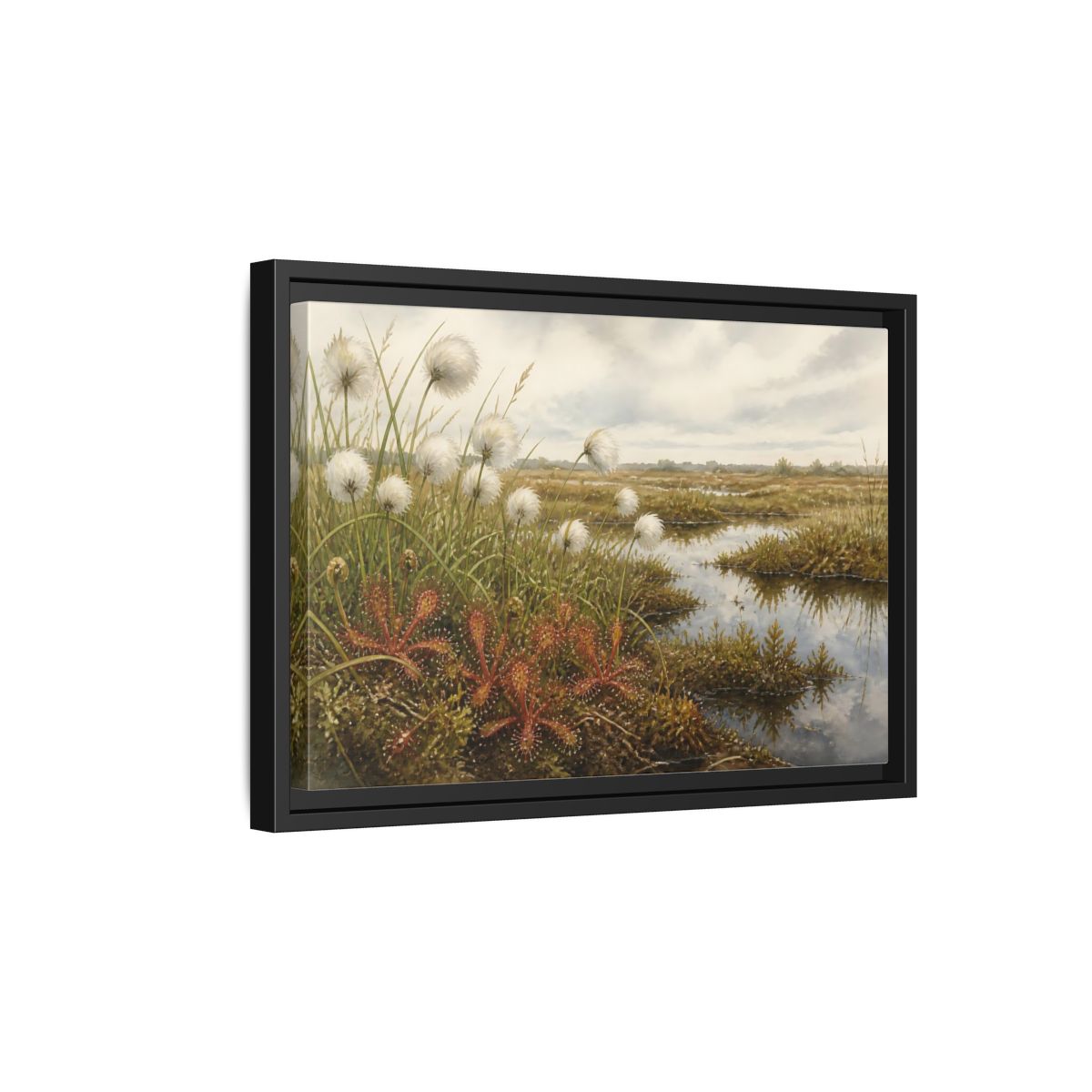 Side Mockup 6. Bog Cotton And Sundew shown as framed canvas print