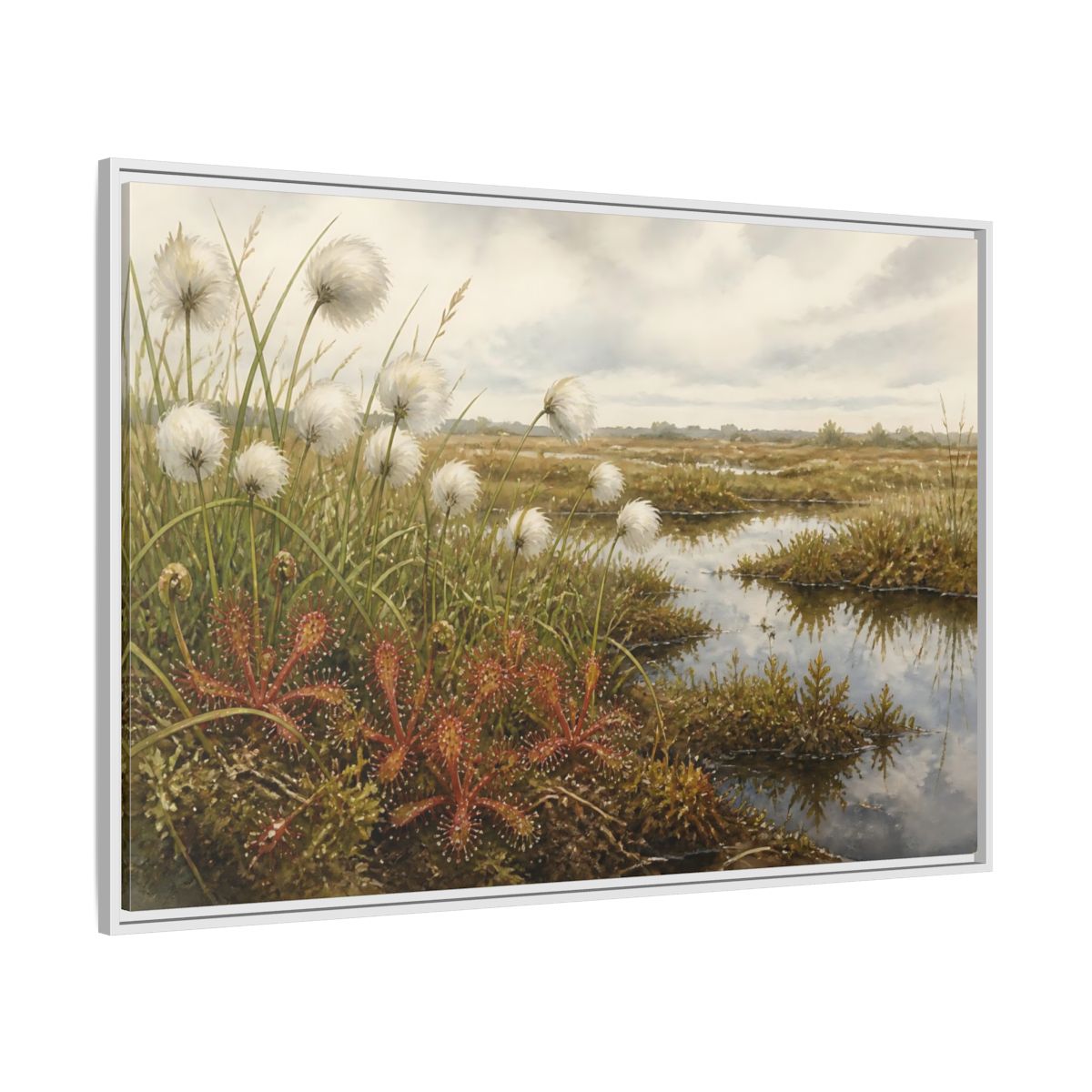 Side Mockup 7. Bog Cotton And Sundew shown as framed canvas print