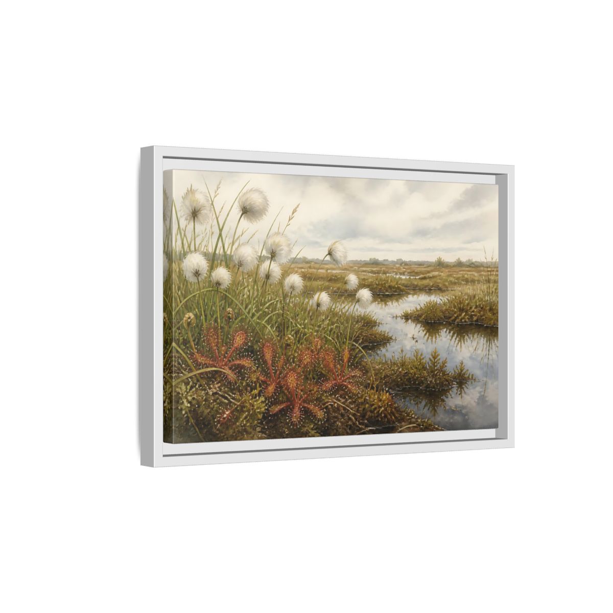 Side Mockup 4. Bog Cotton And Sundew shown as framed canvas print